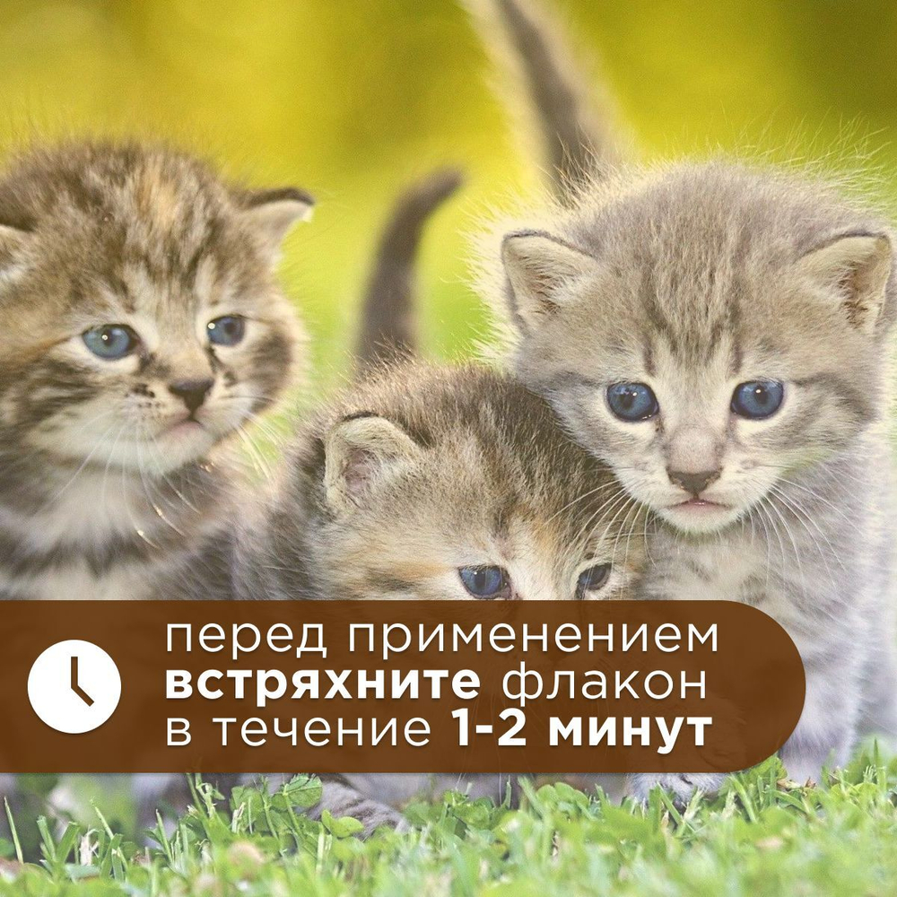 Apicenna Гепатовет Актив для собак и кошек, суспензия для нормализации и улучшения работы печени, 50 мл. Метионин.