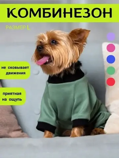 Комбинезон для собак