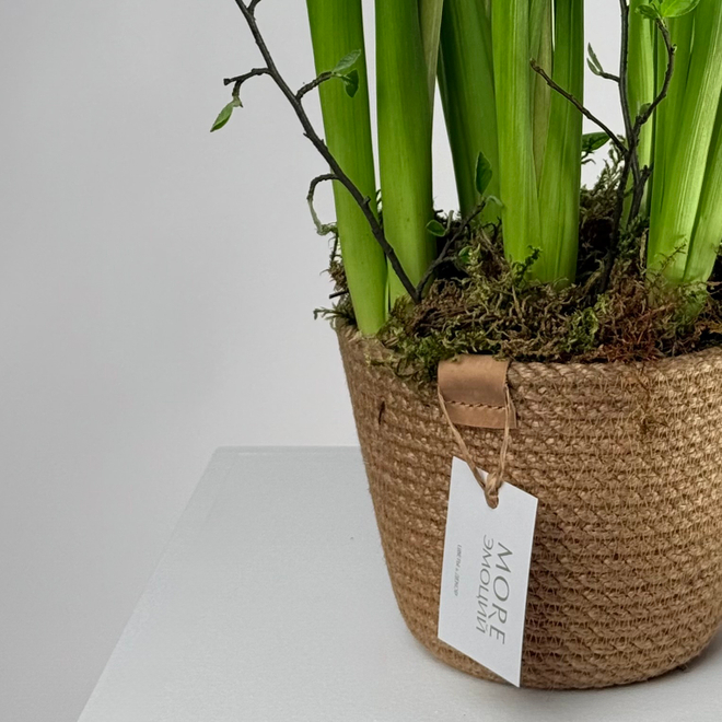 Цветочная композиция в корзине Весна