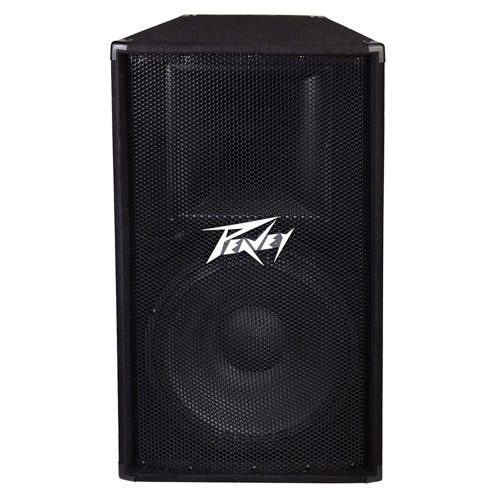 Peavey PV 115