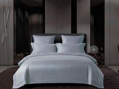 Постельное белье Египетский хлопок Asabella 2219