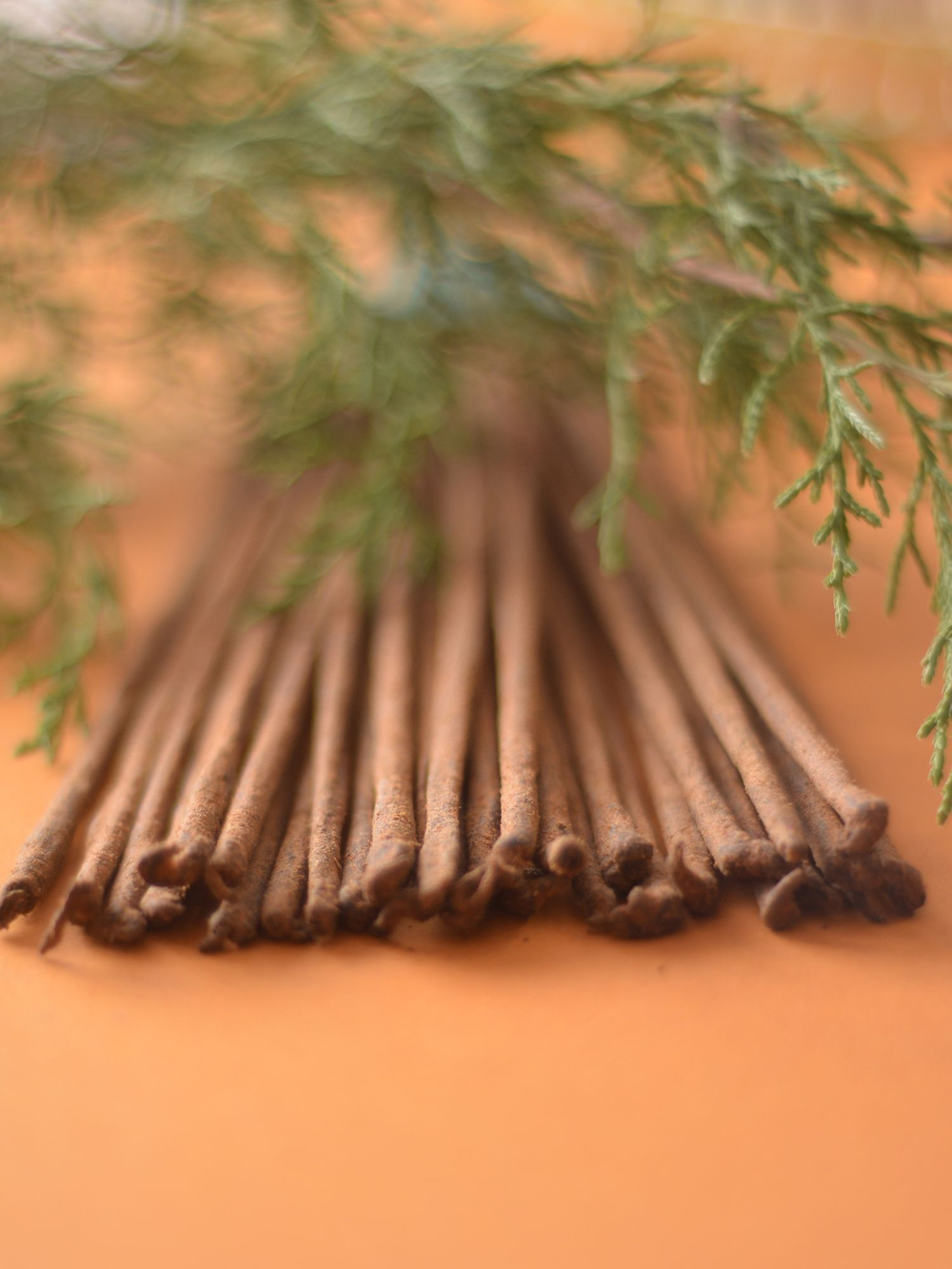 HERBAL индийские благовония-палочки (Shiva Special)