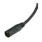 Dan Clark Audio VIVO 4-pin XLR Black 3m
