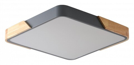 Накладной светильник Zortes Alberro ZRS.01288.60
