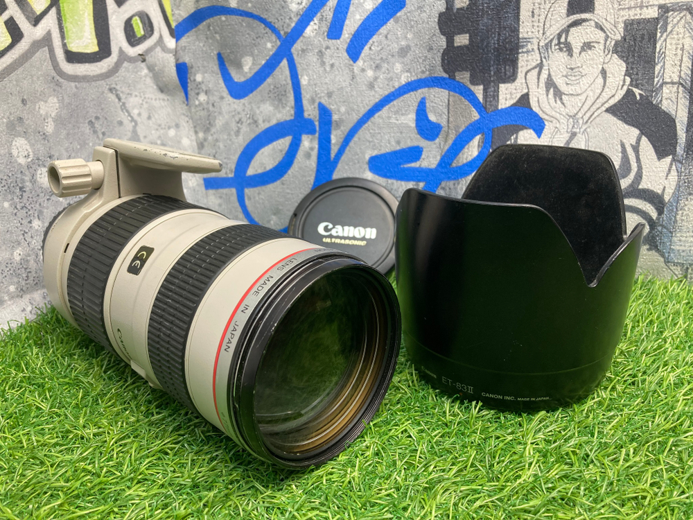 Canon EF 70-200mm 2.8L USM
