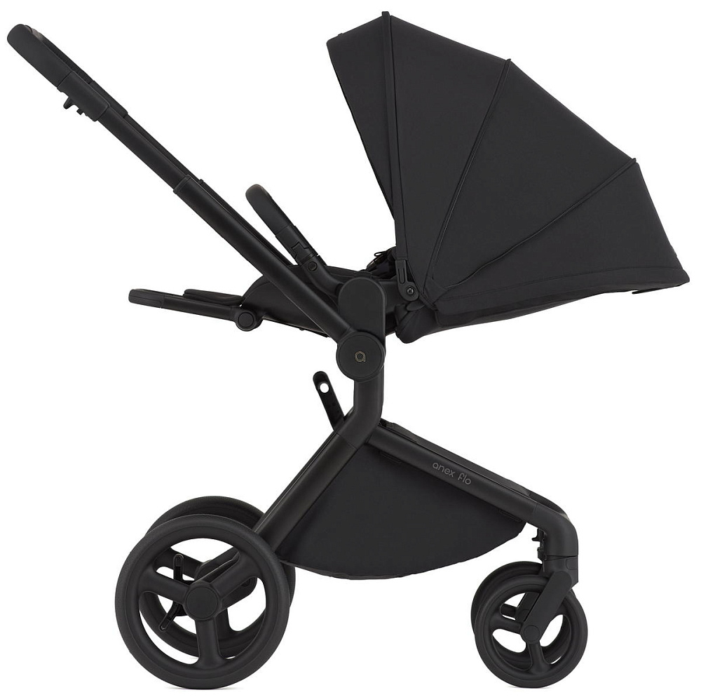 Детская коляска Anex Flo 2 в 1 Lungo
