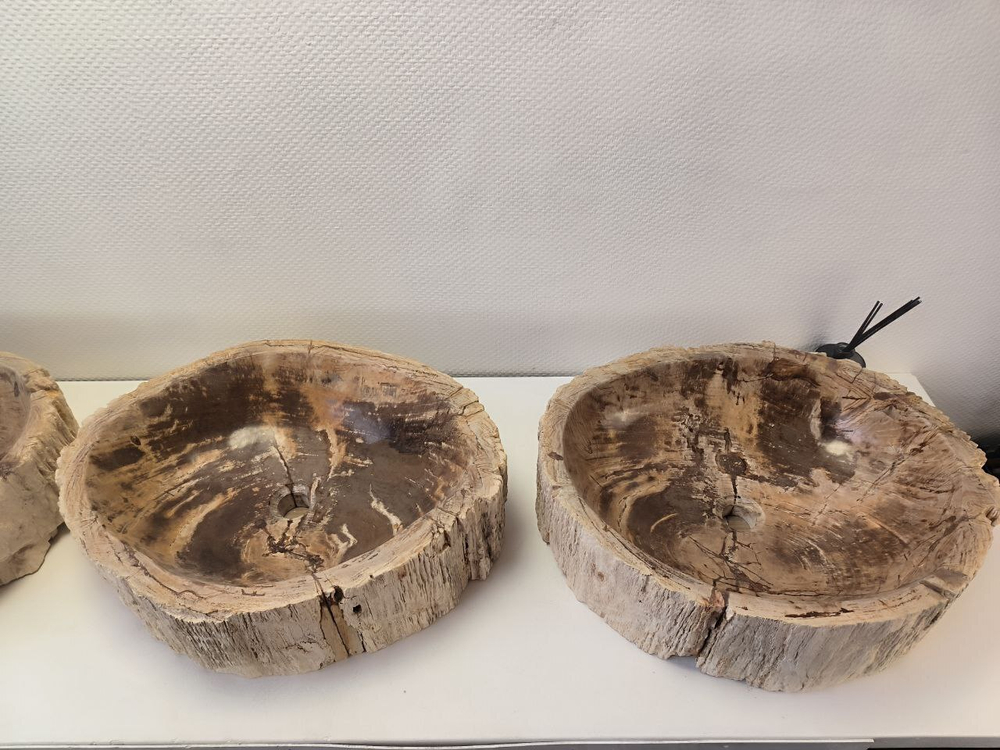 Раковина из окаменелого дерева OD-62102 56*47*15