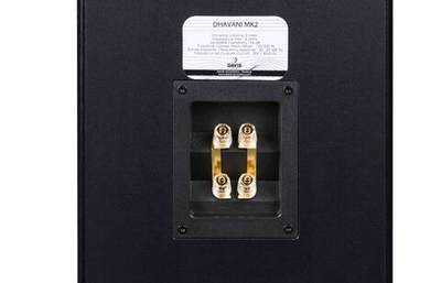 Напольная акустика Davis Acoustics Mani MK2