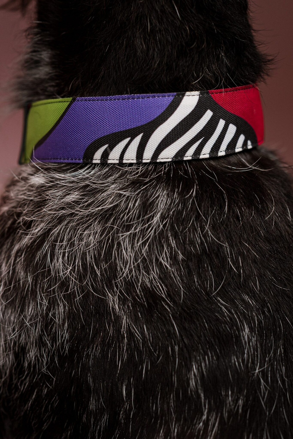 Ошейник Вайб 90-х, наличие