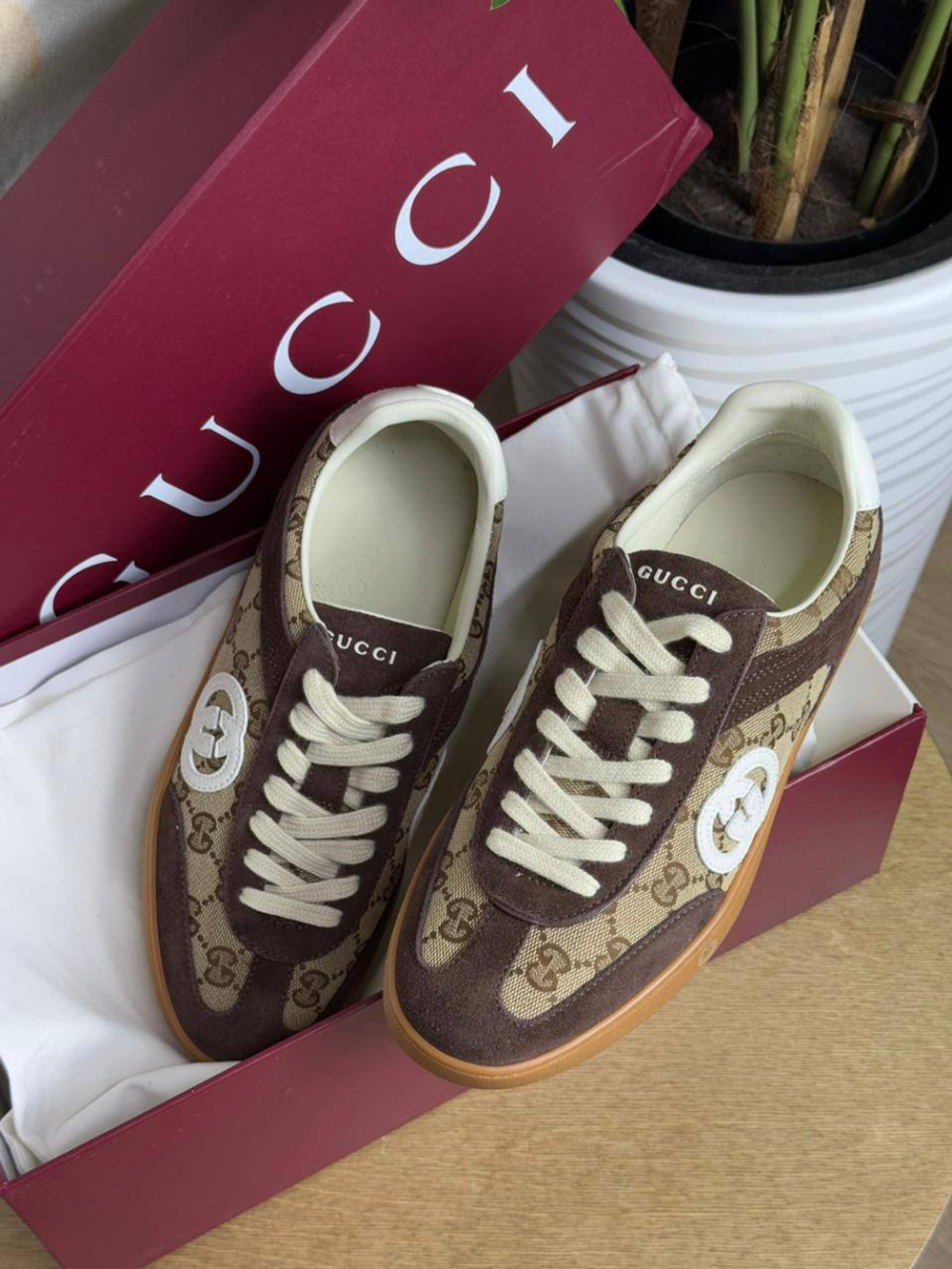 Кеды Gucci