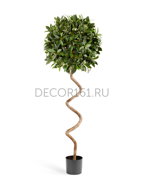 Лавр шар спираль 150 см д-50 см 2/2 10.40705N
