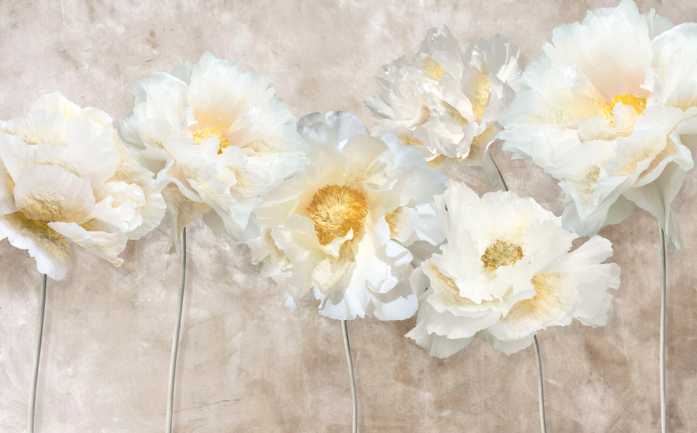 Коллекция Цветы