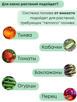 Капельный полив 60 растений от ёмкости с таймером