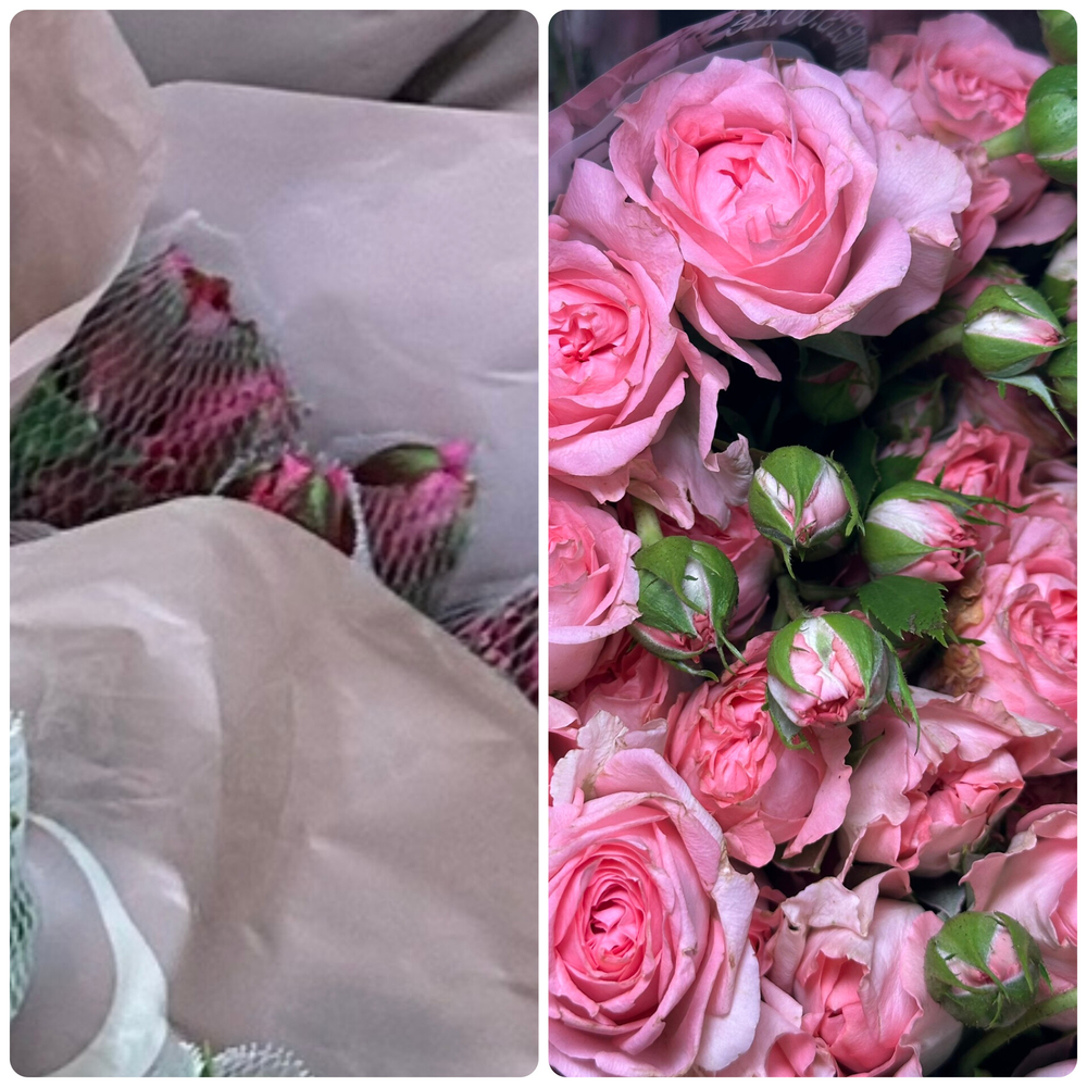 12 бордовых альстромерий+ 7 кустовых роз