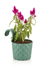 КАШПО ДЛЯ ЦВЕТОВ НАВЕСНОЙ КРУГЛЫЙ ALYA VENUS ALY-231 1.75Л