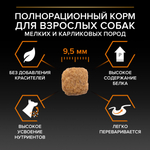 Сухой корм PRO PLAN EVERYDAY NUTRITION для взрослых собак мелких и карликовых пород курица 700 г