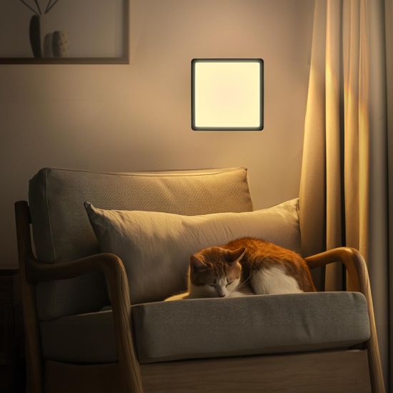 CL738K241V Бейсик Черный Св-к Накл. LED 24W*Мульти