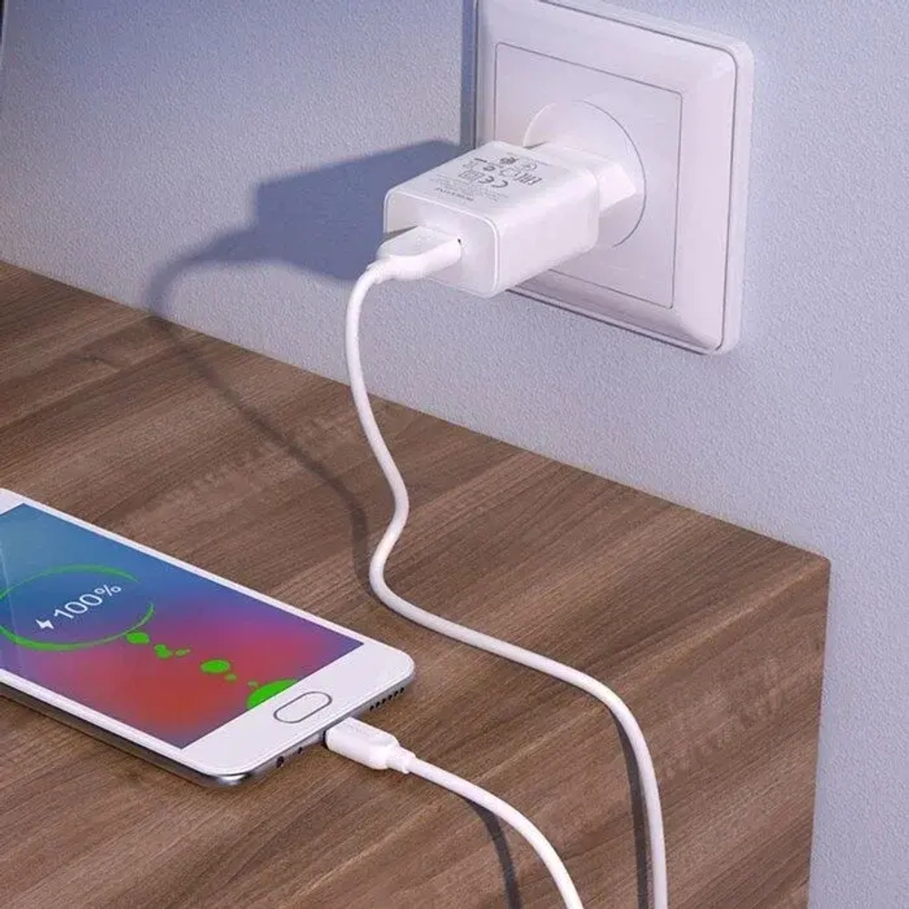 Зарядное сетевое с кабелем MicroUSB 1-метр 2.1А BOROFONE BA52A