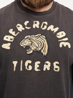 Футболка Abercrombie & Fitch ABF30