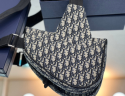 Christian Dior Saddle 26 cm