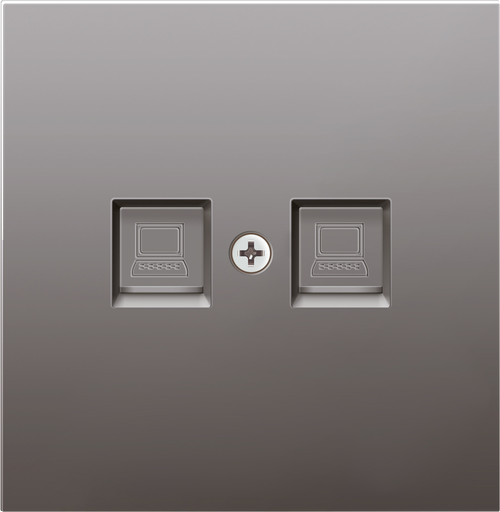 Накладка для розетки RJ45, 2-я, сталь, серия R98