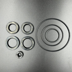 Ремкомплект редуктора Suzuki DF200-300 (25700-98J00) (Suzuki)