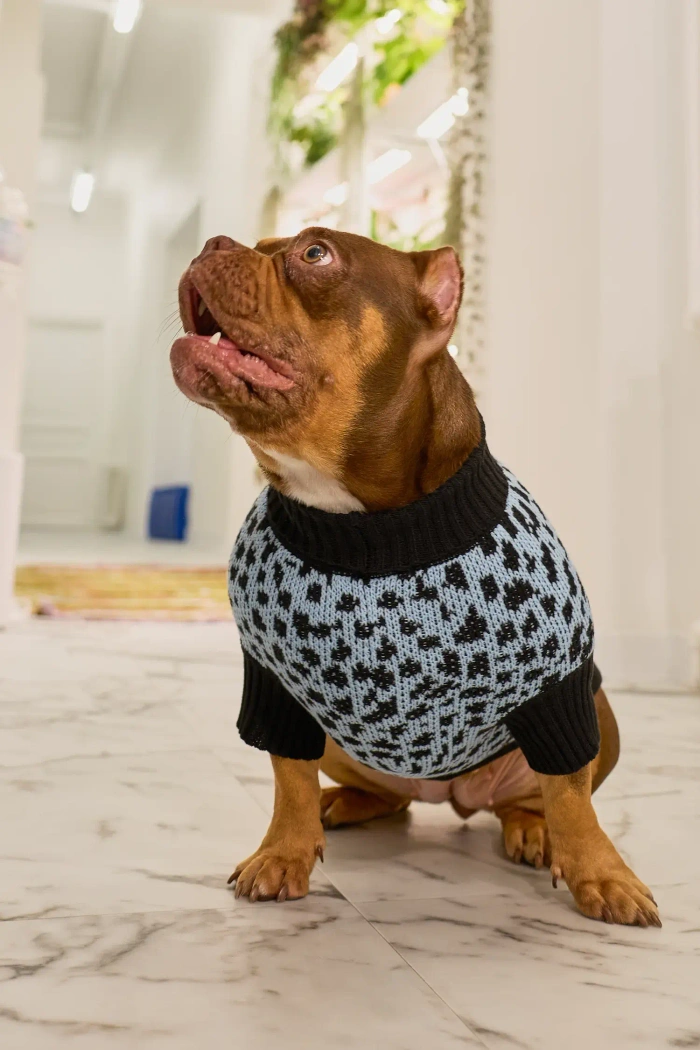 Для собачки