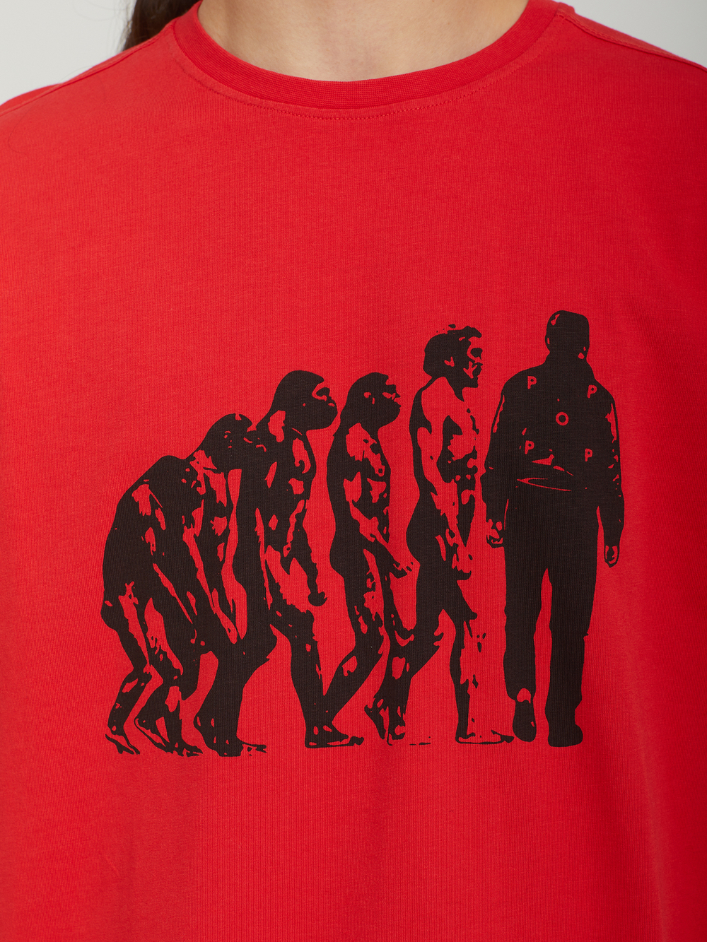 Мужская Футболка Evolution