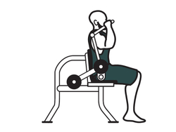 Abdominal trainer тренажер для пресса