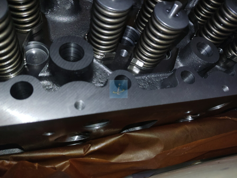 Головка цилиндра в сборе с клапанами 650.1003012