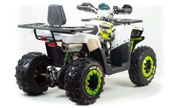 Квадроцикл Motoland ATV 200 WILD TRACK