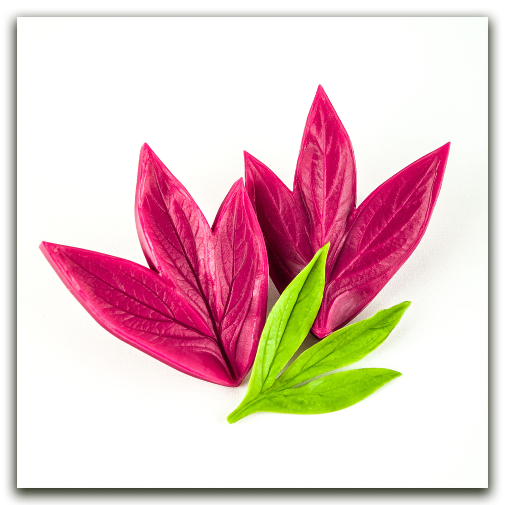 Лист пиона садового тройной