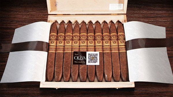 Oliva Serie V Melanio получила QR-код