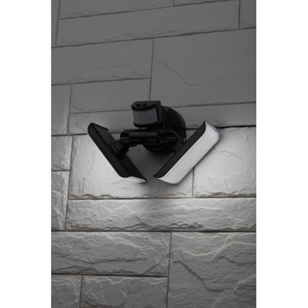 Светильник уличный ЭРА ERAFS020-42 настенный с двумя световыми панелями c выносной солнечной батареей