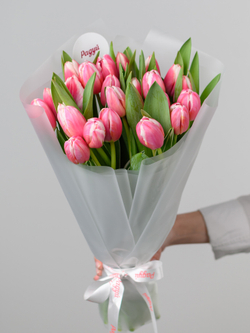 Тюльпаны микс