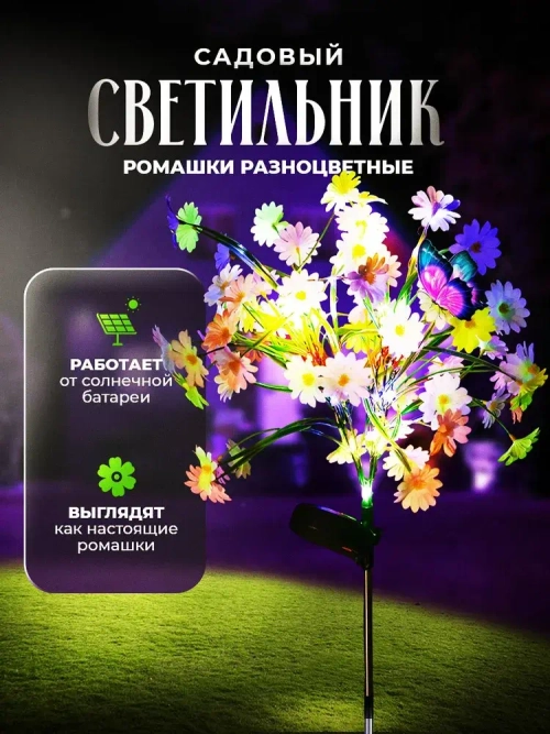 Садовые ромашки на солнечной батарее