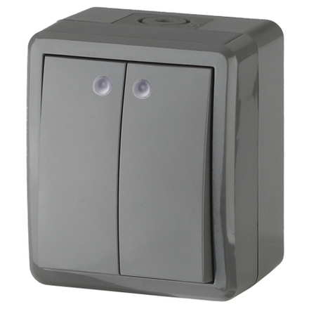 Выключатель ЭРА Эксперт 11-1405-03 двойной с подсветкой IP54 10АХ-250В ОУ серый