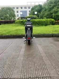 Электроскутер Skyboard Sevastopol 1800W