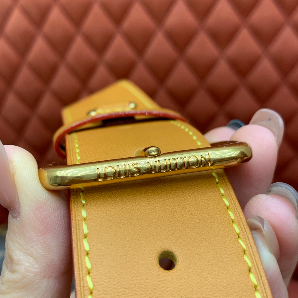 Louis Vuitton Satchel Messenger