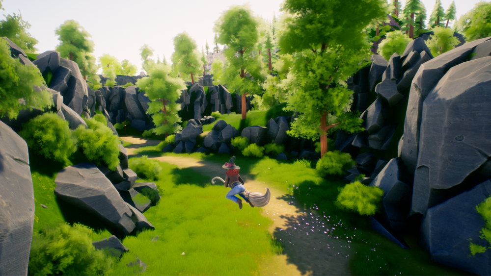 The Witch of Fern Island (для ПК, цифровой код доступа)
