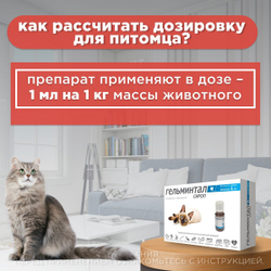 Сироп от гельминтов, профилактика дирофиляриоза для кошек менее 4 кг Гельминтал (Neoterica), 5мл. Празиквантел/ Моксидектин