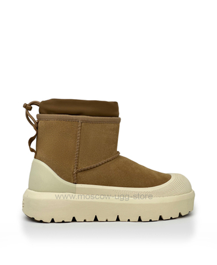 MINI WEATHER HYBRID - Chestnut Whitecap