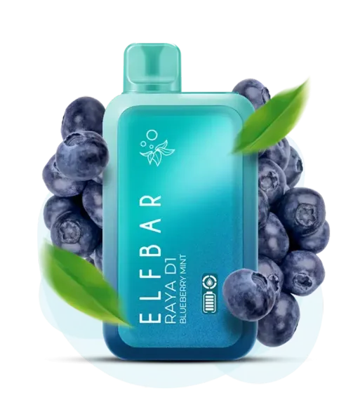 ELF BAR RAYA D1 - Blueberry Mint (5% nic)