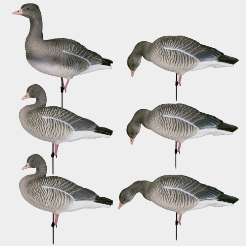 Серый гусь Duck Mania "ALFA"