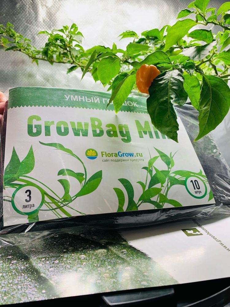 Grow Bag Mini 3л