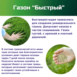 Семена газонной травы, травосмесь Быстрый газон, 1 кг/тимофеевка луговая, райграс однолетний/Газон Сити