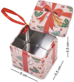 TCN-20/3 Коробка металлическая