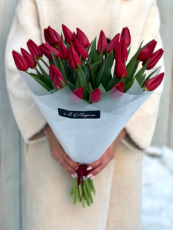 Красные тюльпаны премиального сорта в ярком монобукете от Флора Маркет