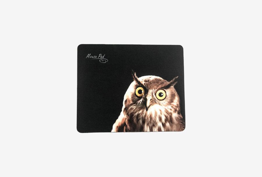 Dialog PM-H15 Owl_0426709110113