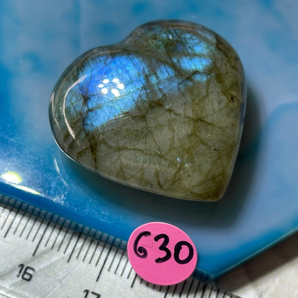 14772 *сердце лабрадор